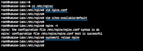重新启动Nginx并测试配置