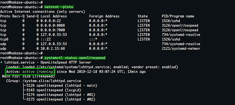 如何在Ubuntu 18.04 LTS上使用PHP安装OpenLiteSpeed HTTP Server